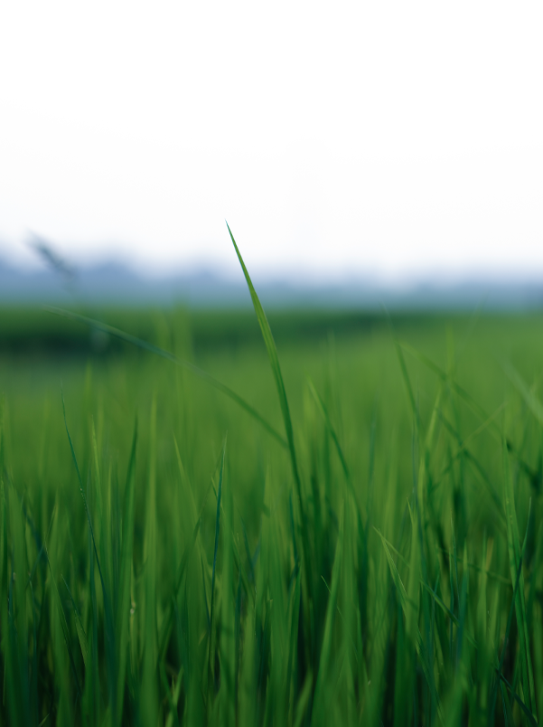 Notable-acchivement-6