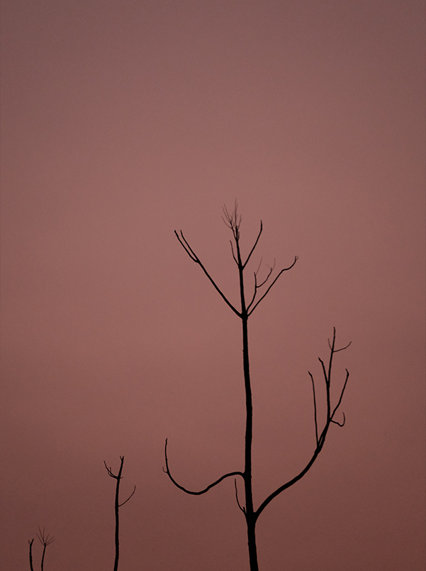 Notable-acchivement-8