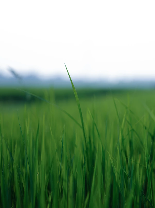 Notable-acchivement-6