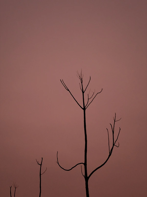 Notable-acchivement-8